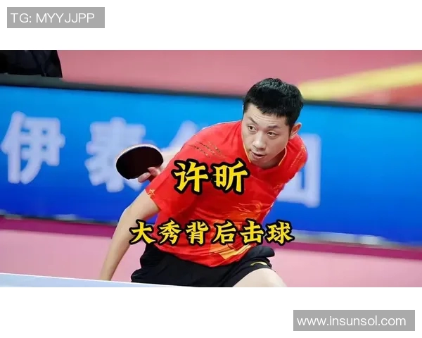 2016年许昕与马龙巅峰对决乒乓球赛精彩回顾与技术分析