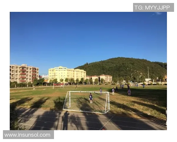 恰卡与查塔的较量揭示了足球战术与团队合作的深刻内涵