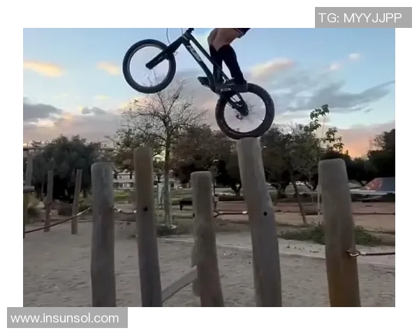 成都极限运动队耐力争议引发热议探讨极限运动的挑战与发展