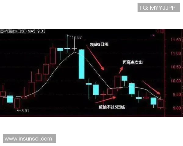 从零基础到高手之路羽毛球节奏与技巧全方位指南