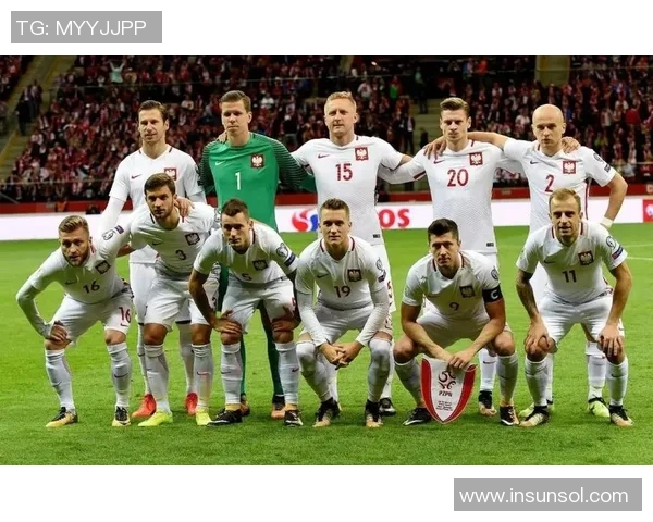 武汉足球队实力分析与数据解读揭示球队潜力与发展方向